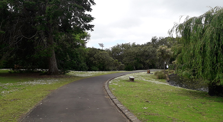 Western Springs Loop Path - Path is wide and well-sealed.