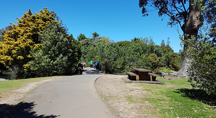Western Springs Loop Path - Path leading to bridge.
