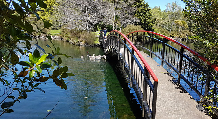 Western Springs Loop Path - One of many bridges over the lake.