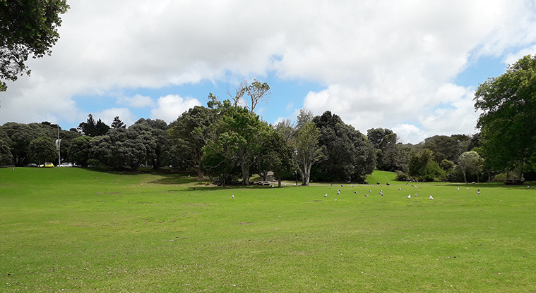 Western Springs Loop Path - Great open spaces on the southern side of the lake.