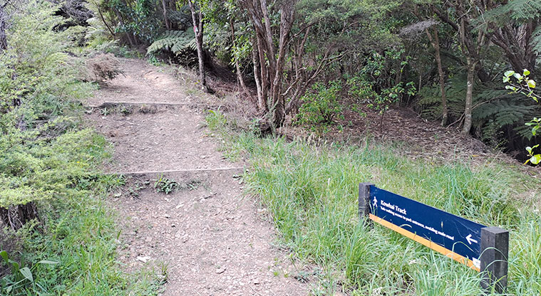 Whakanewha Forest Path - Kōwhai Track follows Gordon Road uphill.