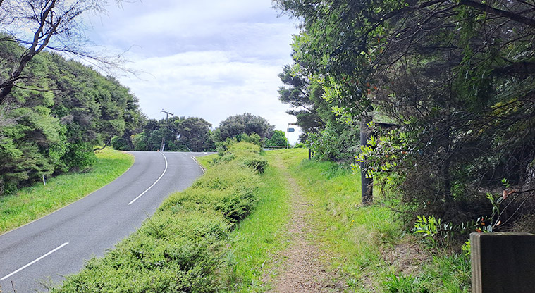Whakanewha Forest Path - Follow the track right at the Gordons Road intersection.