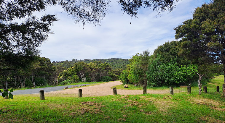 Whakanewha Forest Path - The track comes out at the Carsons Road car park. Continue straight.