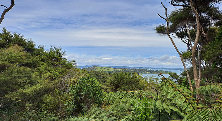 Whakanewha Forest Path - View from Tarata Track over Rocky Bay.