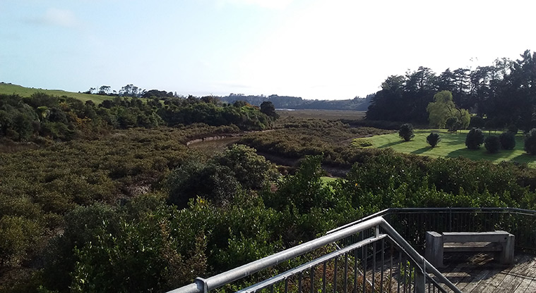 Whitford Path - Viewing platform.