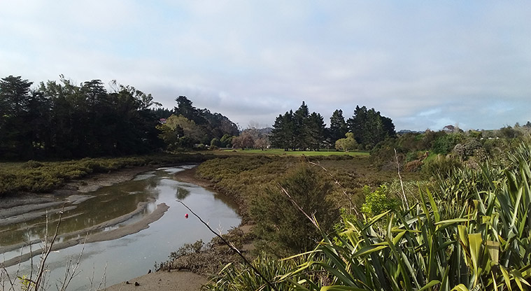 Whitford Path - View over Turanga Creek.
