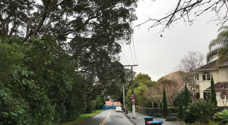 Withiel Thomas Path - Start of the path opposite 6 Withiel Drive, Mt Eden.