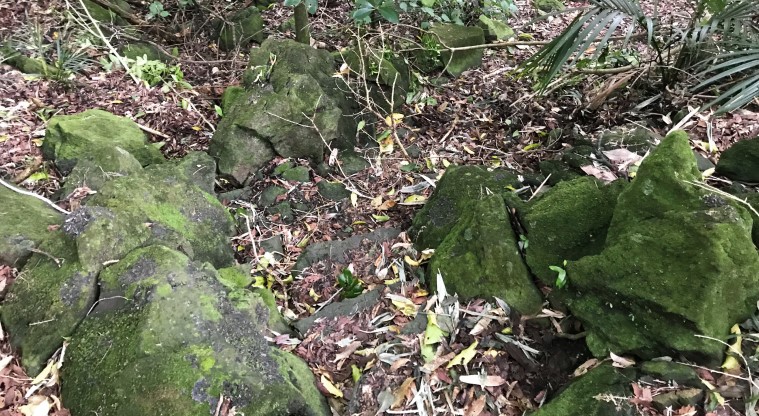 Withiel Thomas Path - Section of the path descending steeply back to the road.