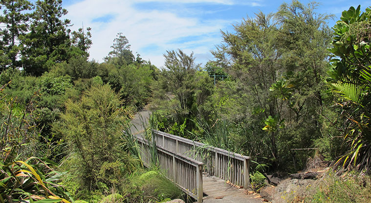 Xena Park Path - Short bridge to kids playground.