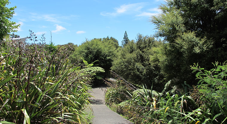 Xena Park Path - Path around west side of lake.