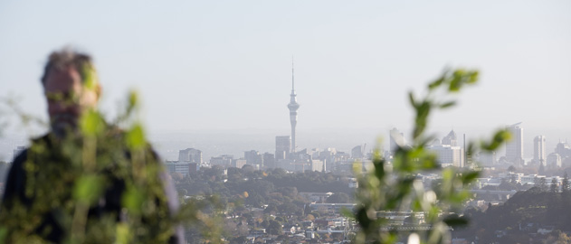 A view of Auckland city from a distance.