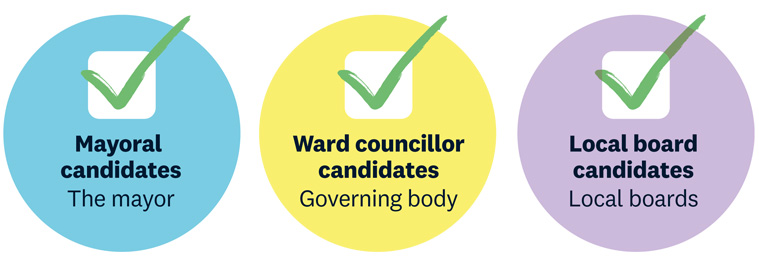 Infographic showing how the mayor, ward councillors and local board members are elected.