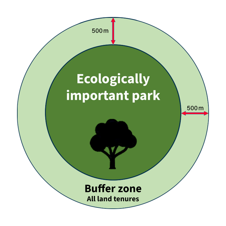 Diagram of a 500m buffer zone around a park.