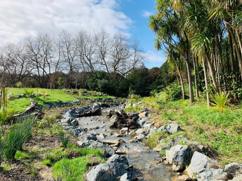 A completed Ecobank project at Sherwood Reserve, on the Taiaotea stream in Browns Bay.