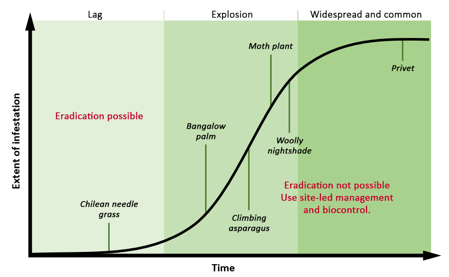 A graph showing the extent of infestation versus the length of time with specific weeds separated into possible eradication.