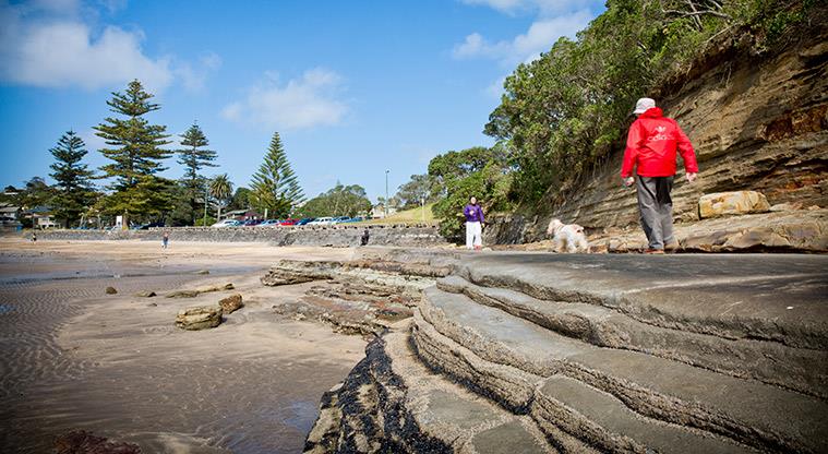 Campbells to Murrays Bay Path - North Shore walks