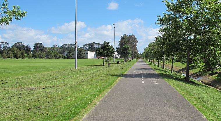 Keith Hay Path – walks in Auckland