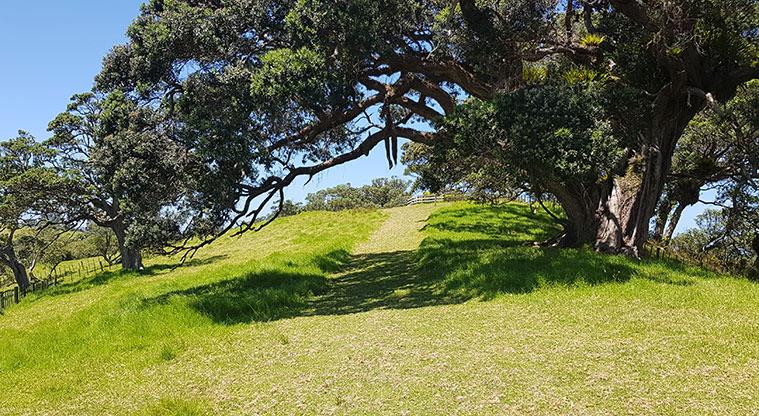 Mullet Point Loop Walk, Auckland, New Zealand - 7 Reviews, Map