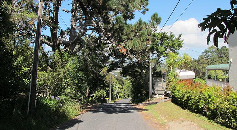 Greenhithe West Path – Auckland scenic walks