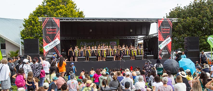 Crowd of people watching a cultural festival performance