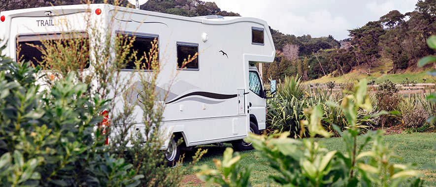 White campervan parked on grass next to trees