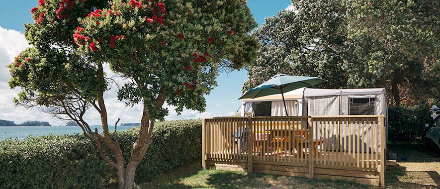 Holiday park room under a tree and next to the beach