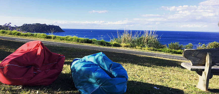 Blue and red backpacks on grass next to a road