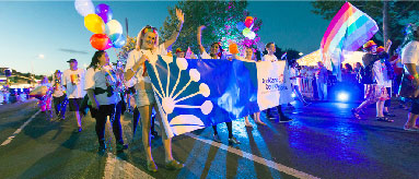 Picture of people carrying a banner in a street parade