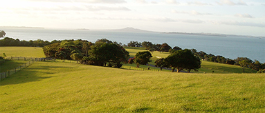 Photo of the countryside looking out towards Rangitoto Island.