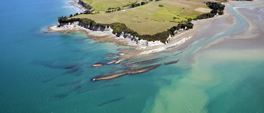 Photograph of a coastline with a  sediment plume in the water