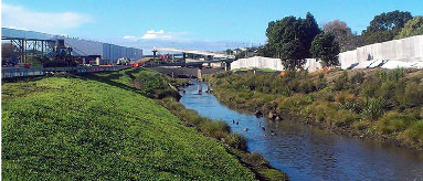 A waterway with ducks runs through urban area.