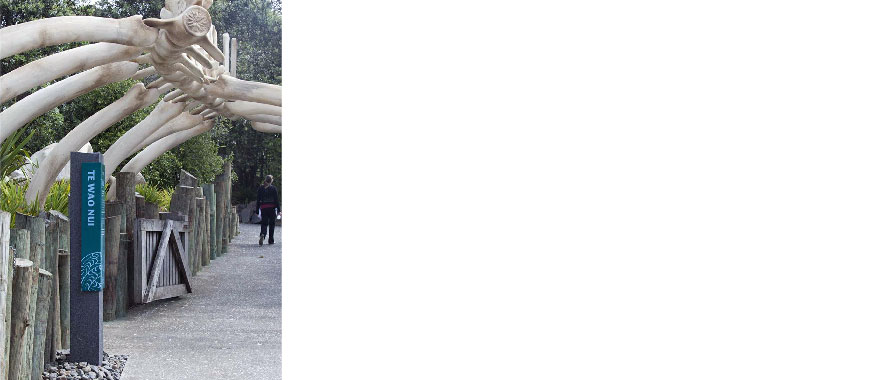 Photograph of a walk-way at Auckland Zoo.