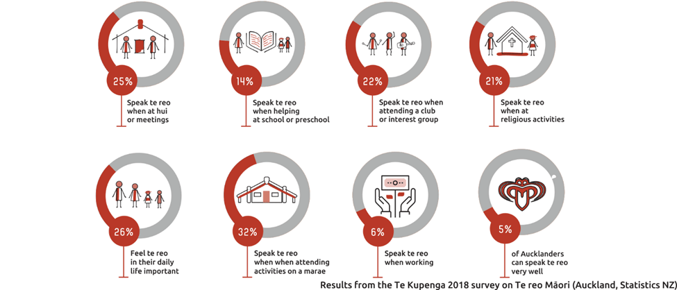 Graphic of where te reo is spoken outside the home: 74 per cent - meetings, 67 percent - school helping, 65 per cent - interest groups, 61 per cent - religious activities, 53 per cent - visiting friends or family, 42 per cent - work, 30 per cent - sport.