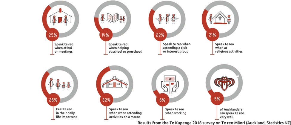 25% speak te reo at hui or meetings, 14% when helping at school, 22% at clubs or groups, 21% at religious activities, 26% feel te reo is important in daily life, 32% speak it on a marae, 6% when working, 5% of Aucklanders speak te reo very well.