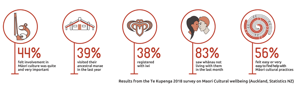 44% of Māori felt involvement in Māori culture was quite/very important. 39% visited their marae last year. 38% registered with iwi. 83% saw whānau not living with them last month. 56% felt it was easy/very easy to find help with Māori cultural practices. Results from Te Kupenga 2018 survey.