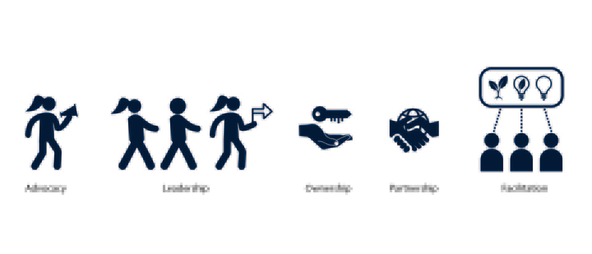 Icons illustrating five roles in delivering the plan: advocacy, leadership, ownership, partnership and facilitation.
