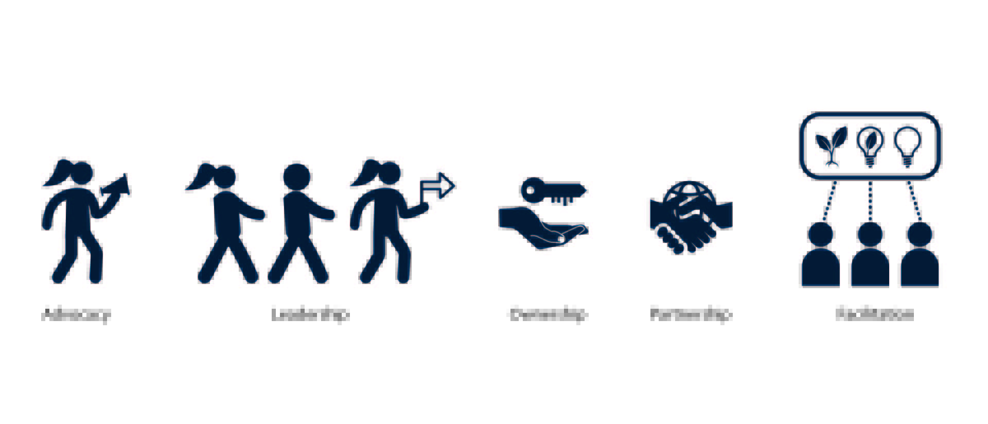 Icons illustrating five roles in delivering the plan: advocacy, leadership, ownership, partnership and facilitation.