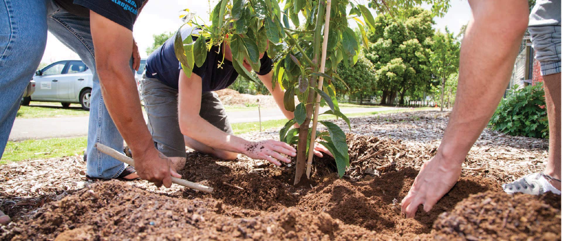 Three people planting a tree.