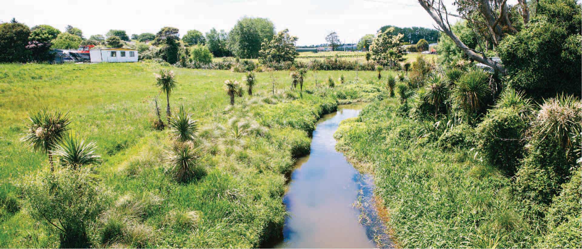 A waterway in a green field.