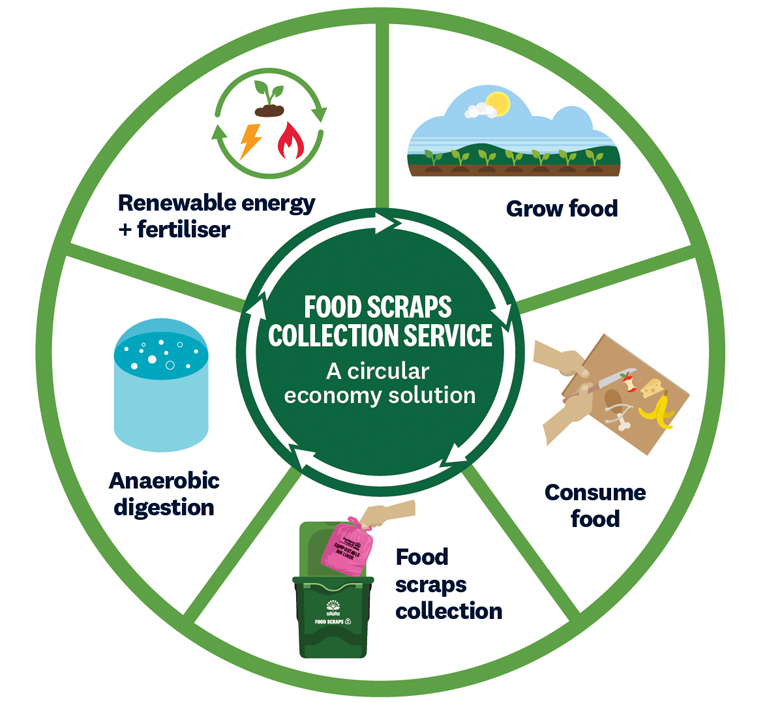 Diagram titled 'Food scraps collection service: a circular economy solution' showing a circular flow of these steps: grow food; consume food; food scraps collection; anaerobic digestion; renewable energy and fertiliser.