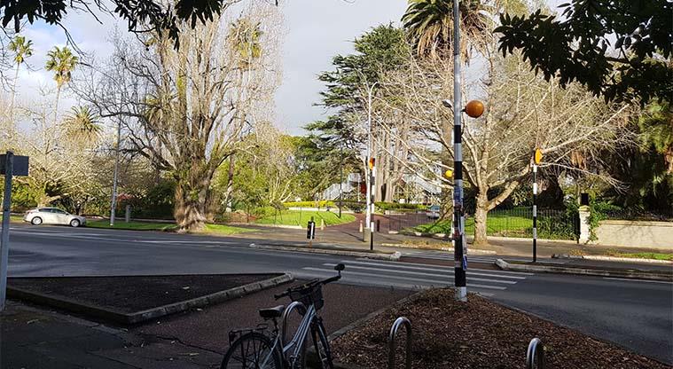 Albert Park - View from University of Auckland across Princes Street.