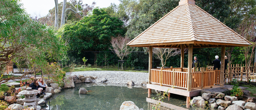 A wooden gazebo above a small pond in a Japanese inspired garden.