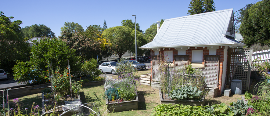 A garden shed with raised garden beds in front on a summer day.