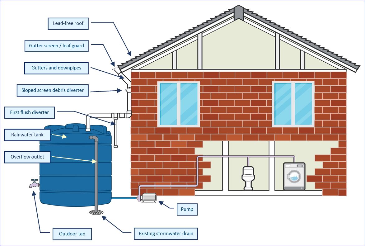 Cross-section of a house with various components of a rainwater tank.