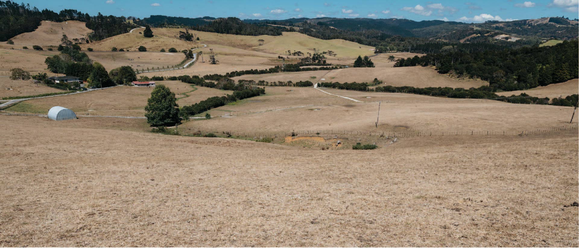 Dry grass on pastures in Warkworth caused by drought.